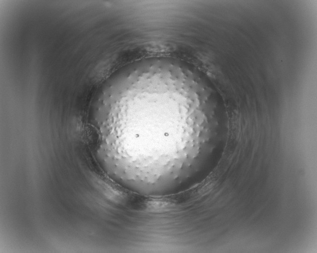 X0000067940614200604131450