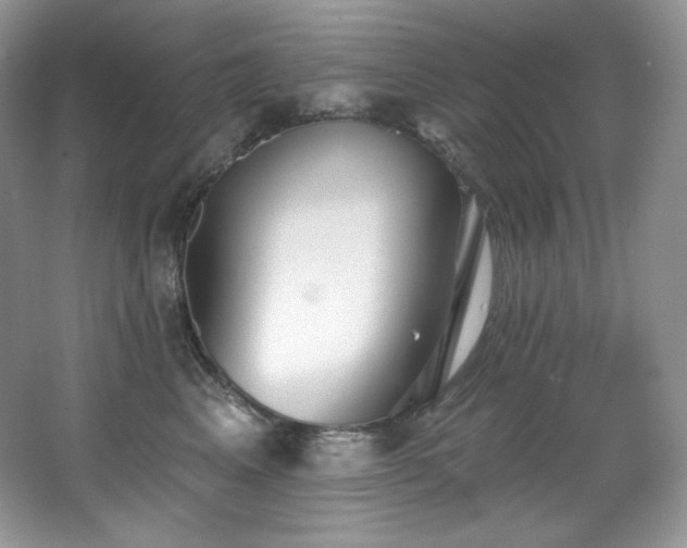 X0000067940617200604131450