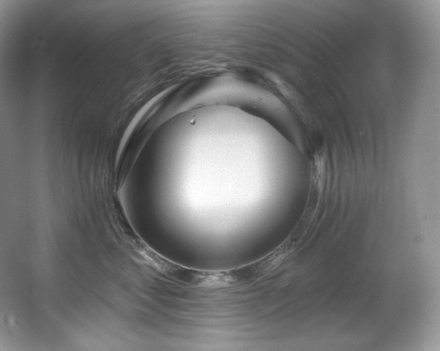 X0000067940621200604131450