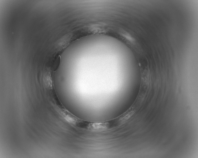 X0000067940622200604131450