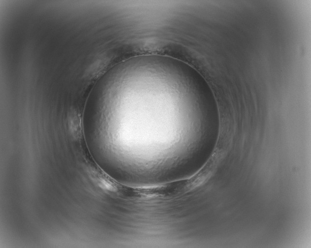 X0000067940624200604131450