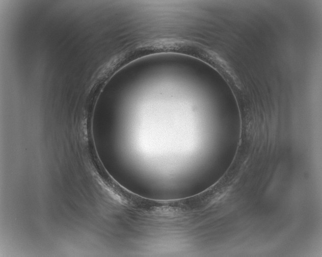 X0000067940633200604131450