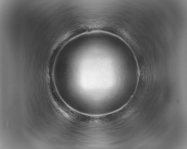 X0000067940634200604131450