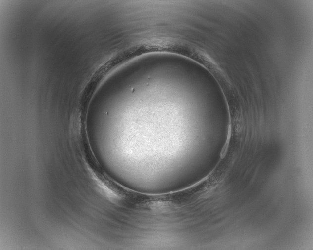 X0000067940637200604131450