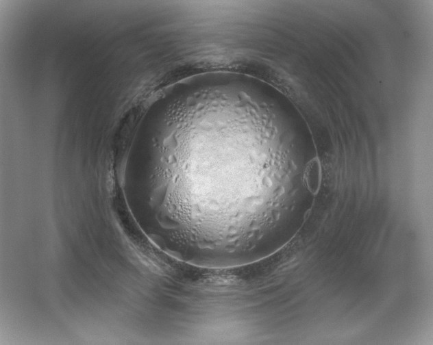 X0000067940642200604131450
