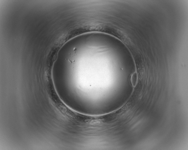 X0000067940643200604131450