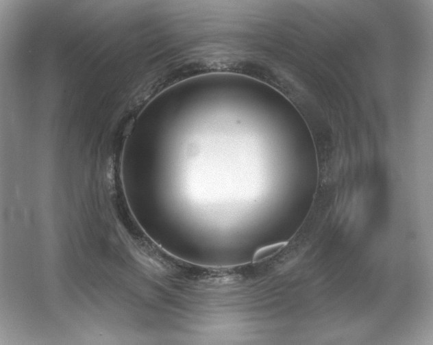 X0000067940646200604131450