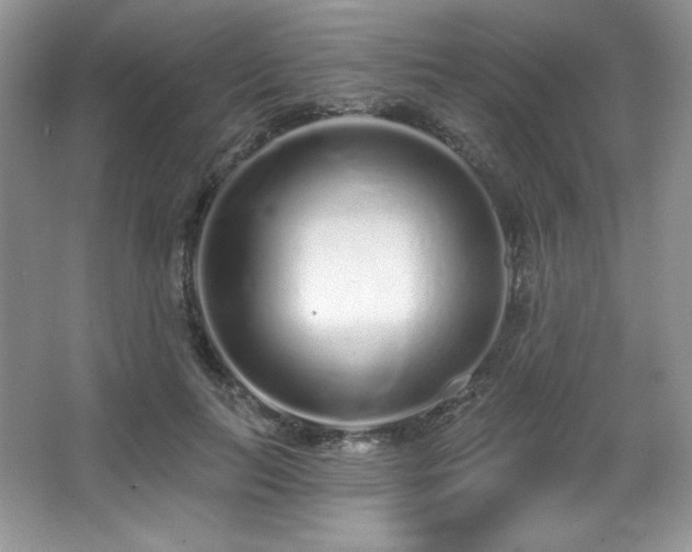 X0000067940647200604131450