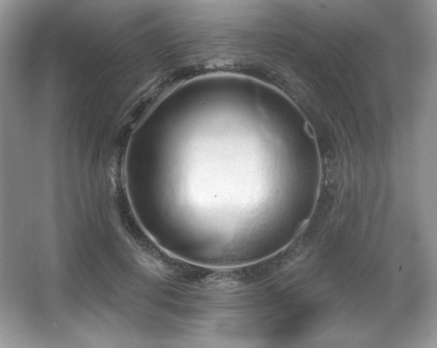X0000067940648200604131450