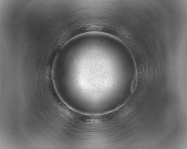 X0000067940649200604131450