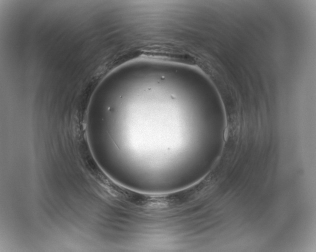 X0000067940653200604131450