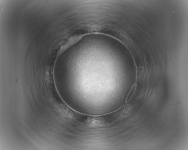X0000067940655200604131450