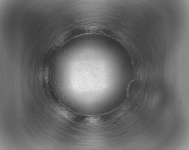 X0000067940660200604131450
