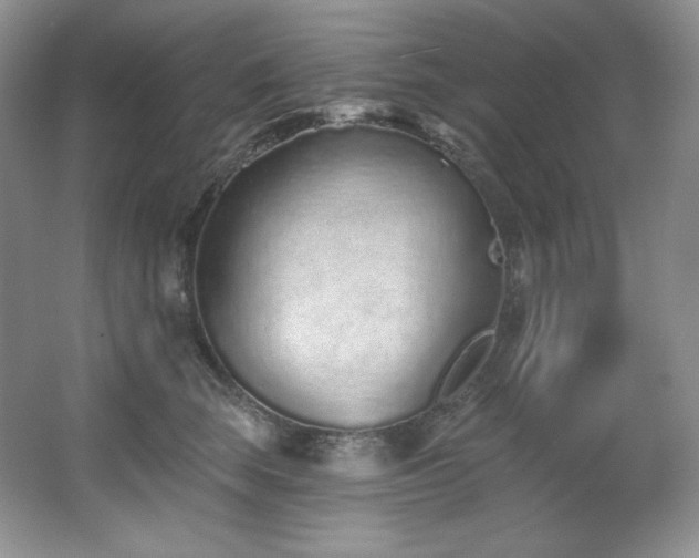 X0000067940663200604131450