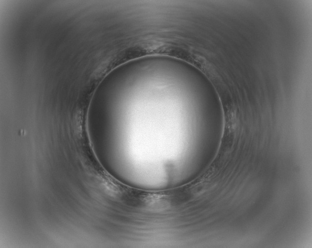 X0000067940664200604131450
