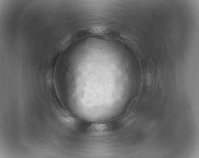 X0000067940665200604131450