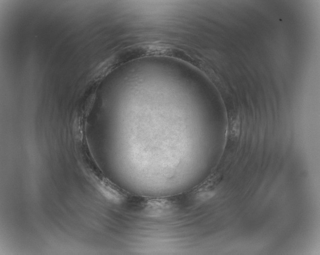 X0000067940666200604131450