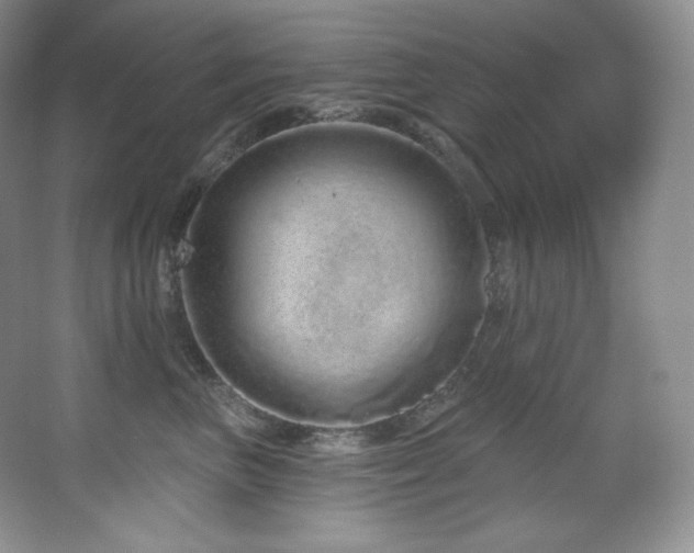 X0000067940667200604131450