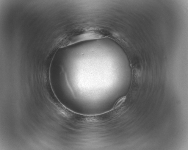 X0000067940668200604131450