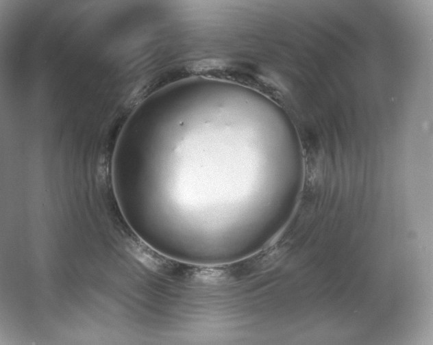 X0000067940669200604131450