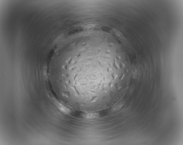 X0000067940670200604131450