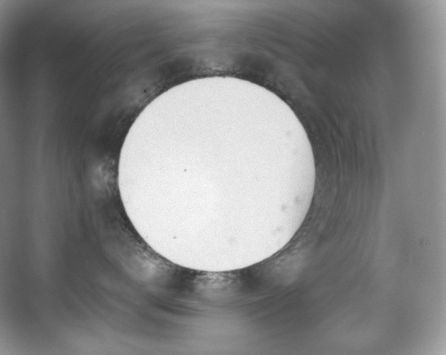 X0000067940672200604131450