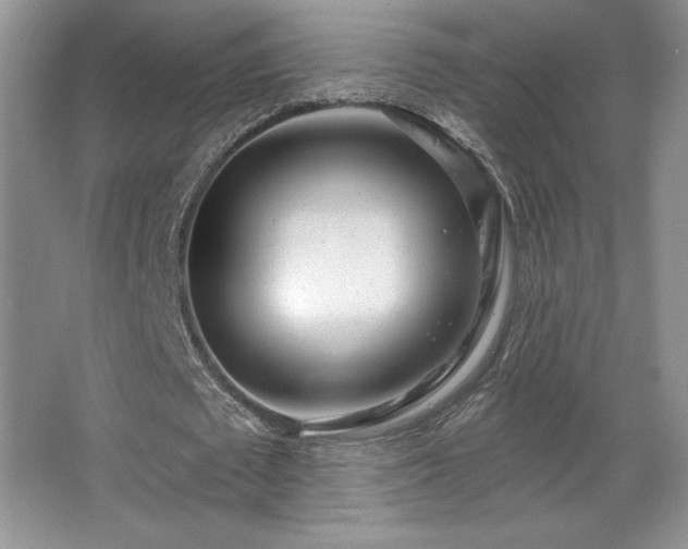 X0000067940673200604131449