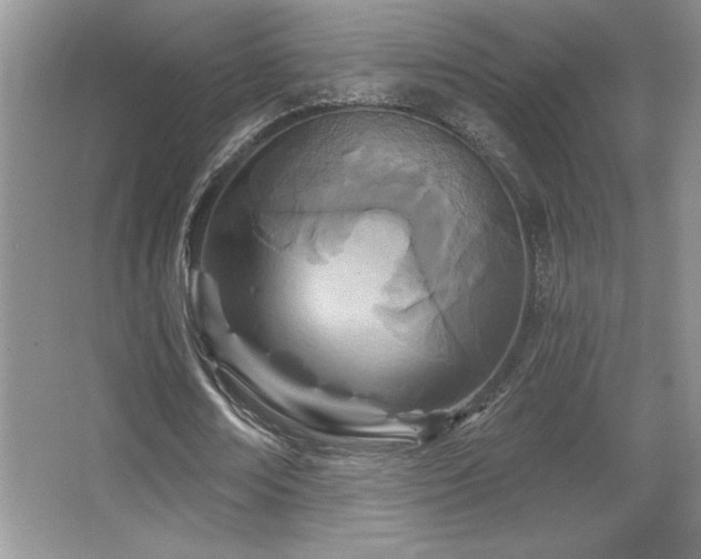 X0000067940674200604131449