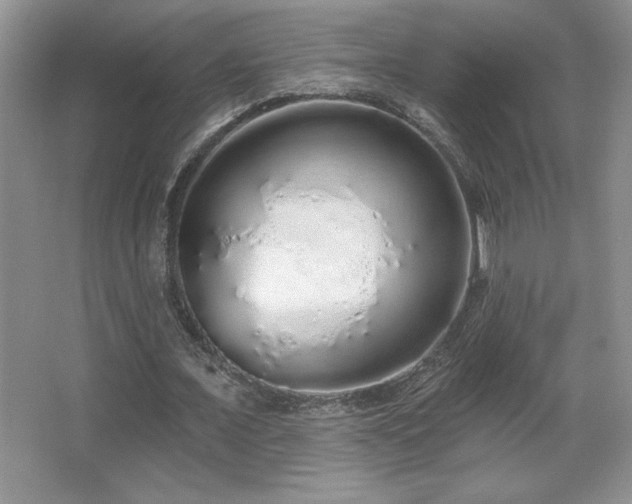 X0000067940675200604131449