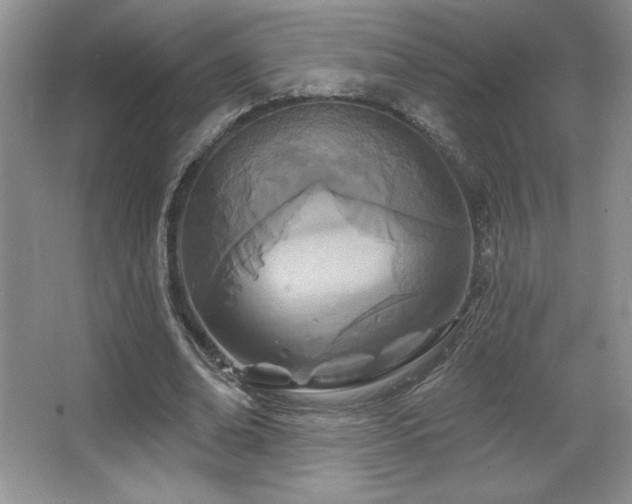 X0000067940678200604131449