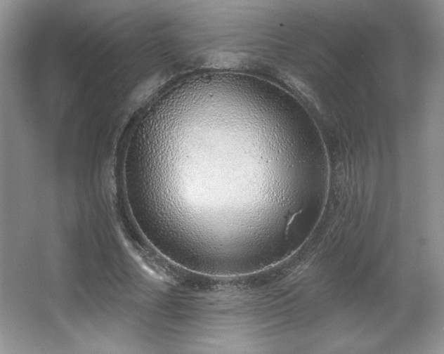 X0000067940682200604131449