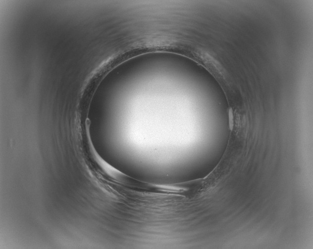 X0000067940684200604131449