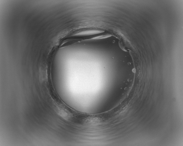 X0000067940685200604131449