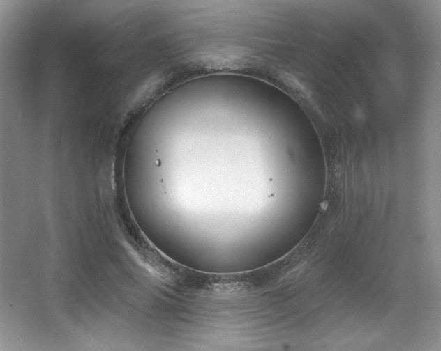 X0000067940686200604131449
