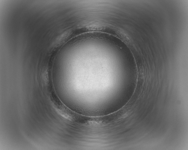 X0000067940690200604131449