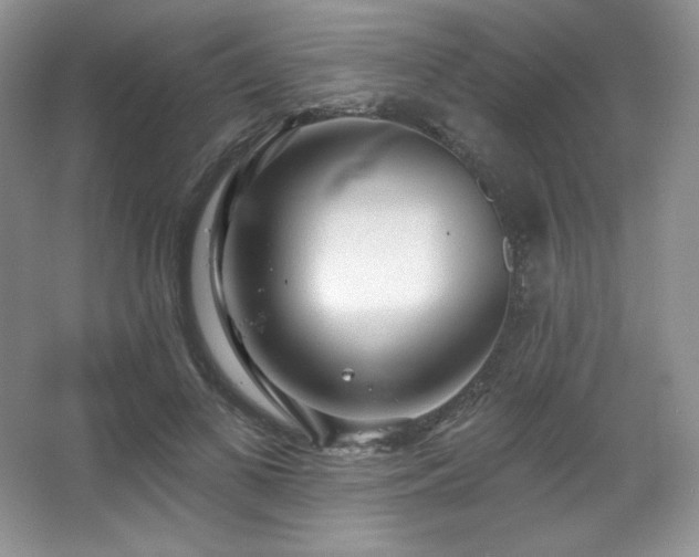 X0000067940693200604131449