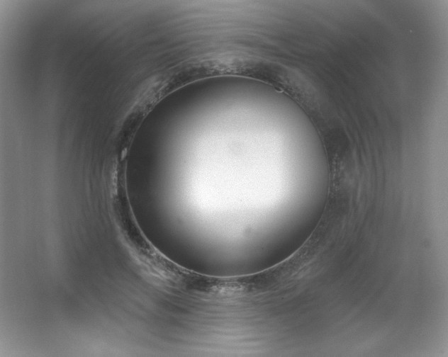 X0000067940694200604131449