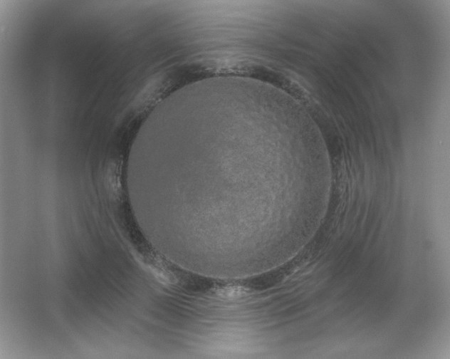 X0000067940695200604131449