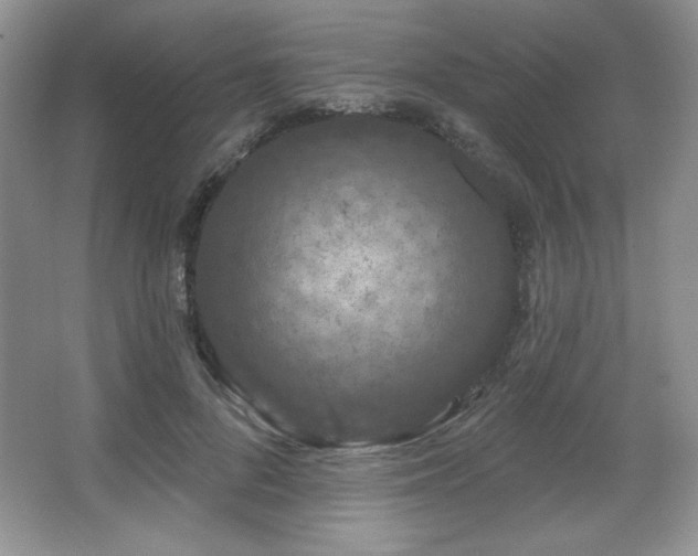 X0000067940696200604131449
