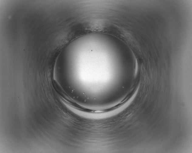 X0000067940697200604131449