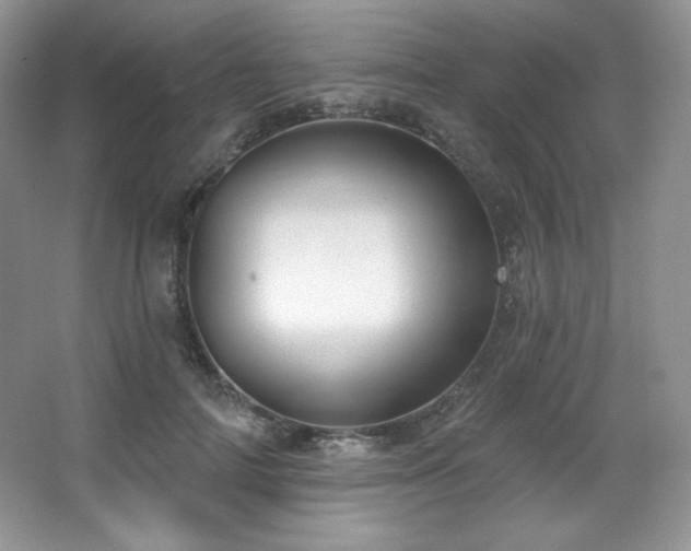 X0000067940698200604131449
