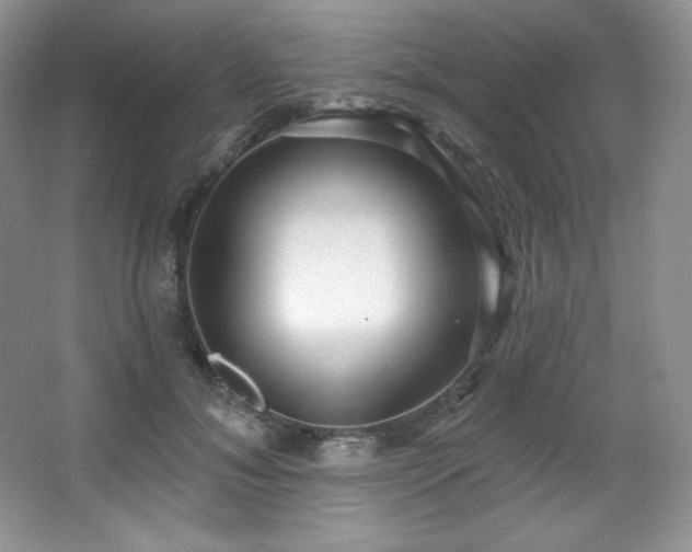 X0000067940700200604131449