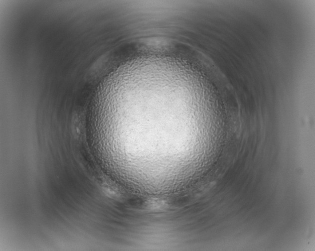 X0000067940701200604131449
