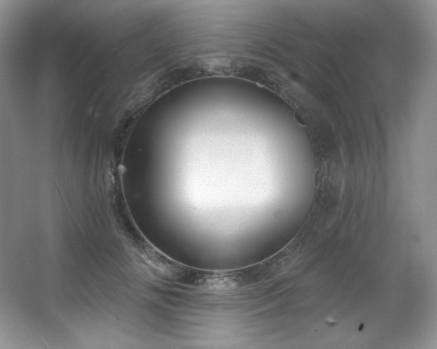 X0000067940702200604131449