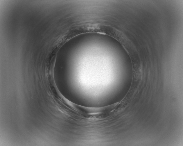 X0000067940704200604131449