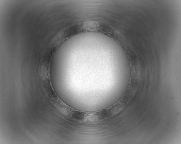 X0000067940705200604131449