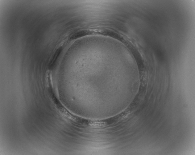 X0000067940707200604131449