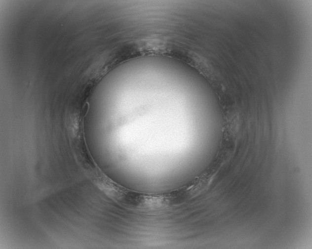 X0000067940709200604131449