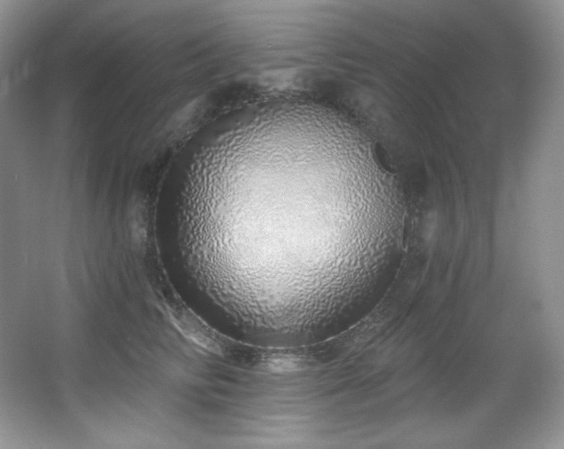 X0000067940710200604131449