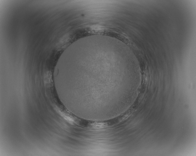 X0000067940711200604131449
